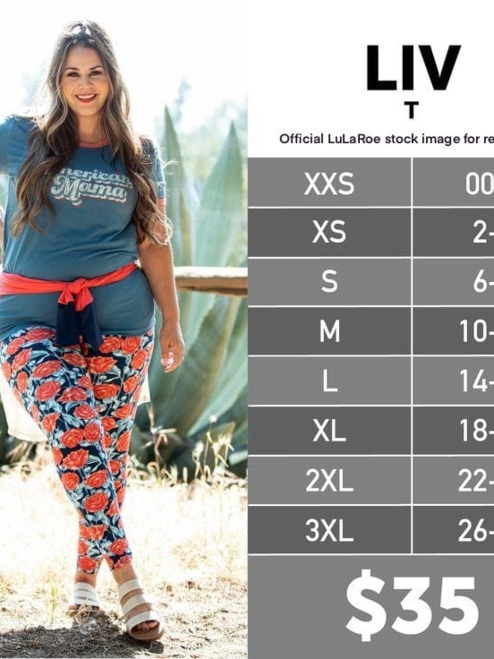 Lularoe Liv T - Picture 4 of 4